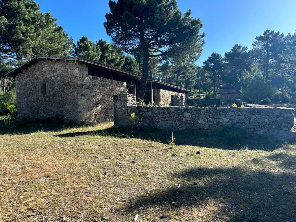 el borbollon sotillo de la adrada avila