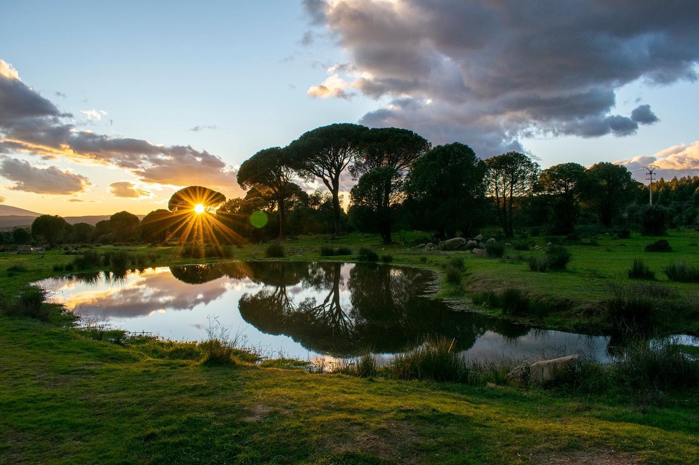 Ruta por el Valle del Tiétar, Ávila - Blogs de España - Ruta por el Valle del Tiétar, Ávila (6)