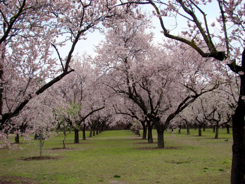 parque quinta de los molinos